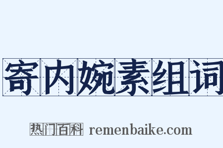 寄内婉素组词是什么意思的图片